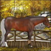 Horse Color:Silver Brown 