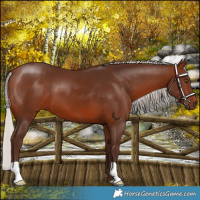 Horse Color:Silver Brown