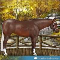 Horse Color:Silver Brown 