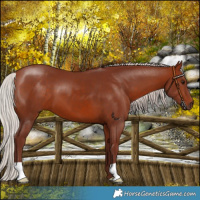 Horse Color:Chocolate Silver Bay 