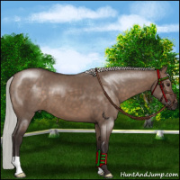 Horse Color:Silver Brown Dun 