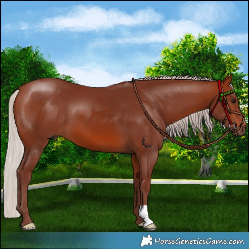 Horse Color:Chocolate Silver Bay