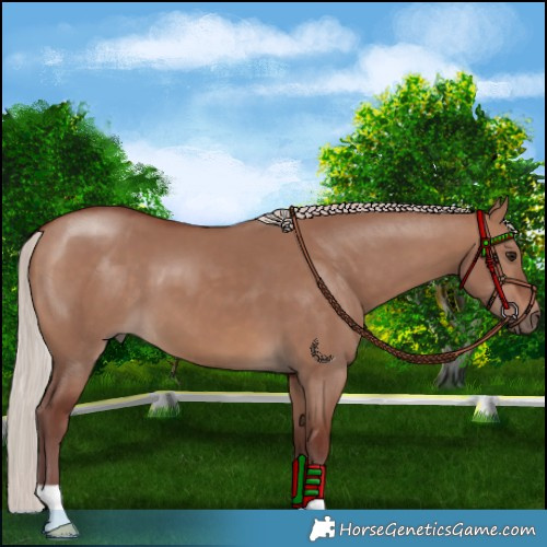 Horse Color:Chocolate Silver Brown Dun 