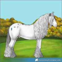 Horse Color:Grullo Splash Tobiano 