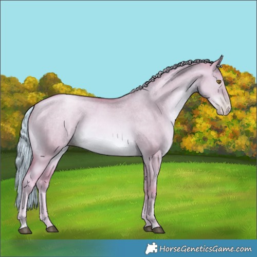 Horse Color:Watercolor Liver Red Dun Pearl Brindle 