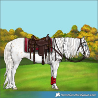 Horse Color:Palomino Pearl Splash Appaloosa