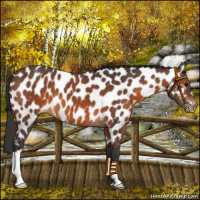 Horse Color:Brown Leopard 