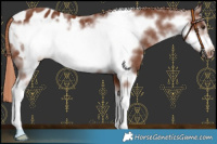 Horse Color:Chestnut Sabino Frame Blanket 