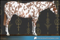 Horse Color:Red Roan Near Leopard