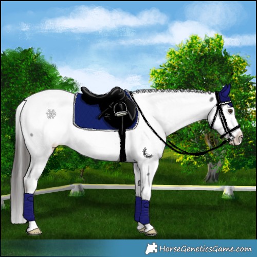 Horse Color:Liver Red Roan Near Fewspot 