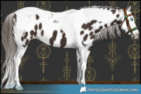 Horse Color:Liver Chestnut Splash Tobiano Near Leopard 