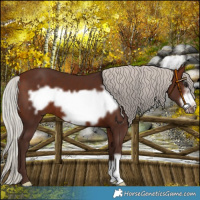 Horse Color:Silver Bay Frame 