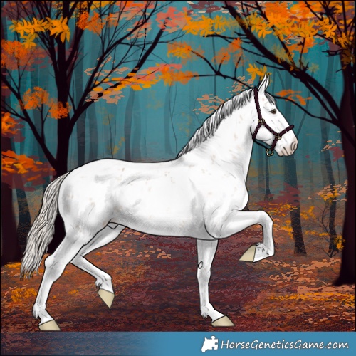 Horse Color:Chocolate Palomino Sabino 