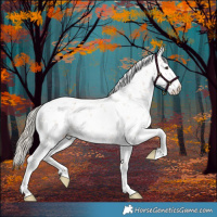 Horse Color:Chocolate Palomino Sabino 