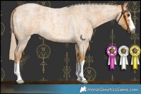 Horse Color:Palomino Roan 