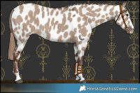 Horse Color:Liver Red Dun Near Leopard 