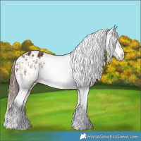 Horse Color:Bay Blanket  and Bay Blanket 