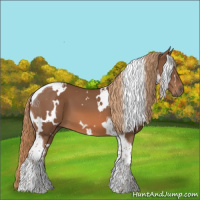 Horse Color:White Spotted Chestnut Tobiano 