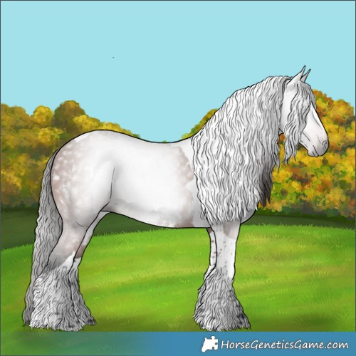 Horse Color:Gray White Spotted Bay Tobiano 