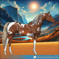 Horse Color:White Spotted Chestnut Tobiano 