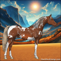 Horse Color:White Spotted Chestnut Tobiano 