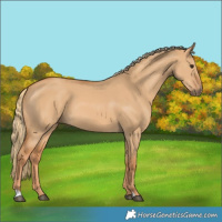 Horse Color:Red Dun 