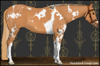 Horse Color:White Spotted Chestnut Tobiano 