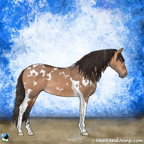 Horse Color:White Spotted Bay Dun Tobiano