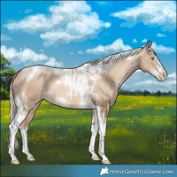 Horse Color:Chocolate Palomino Pearl Tobiano Frame  and Chocolate Palomino Pearl Splash Tobiano Frame 
