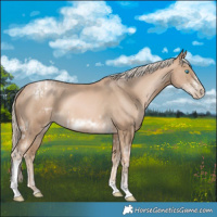 Horse Color:Chocolate Palomino Pearl Tobiano Frame  and Chocolate Palomino Pearl Tobiano Frame 