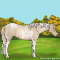 Horse Color:Chocolate Palomino Roan Pearl Tobiano Frame  and Chocolate Palomino Roan Pearl Splash Tobiano Frame 