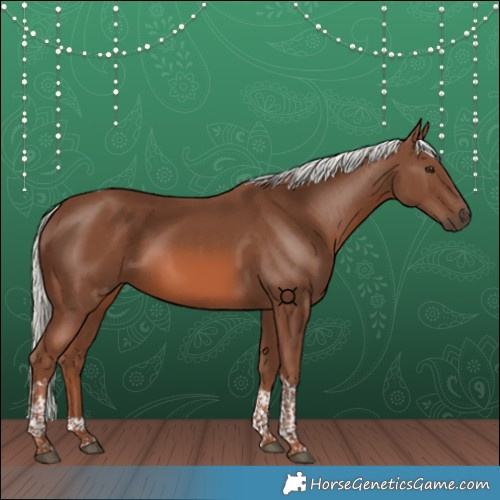 Horse Color:Chestnut Mushroom Tobiano 