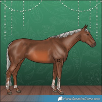Horse Color:Chestnut Mushroom Tobiano 