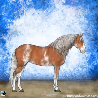 Horse Color:White Spotted Silver Bay Splash 