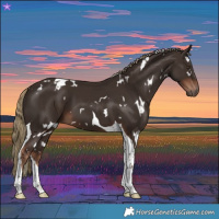Horse Color:White Spotted Liver Chestnut Tobiano 