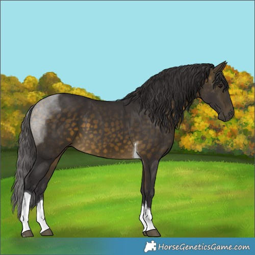 Horse Color:Buckskin Tobiano 