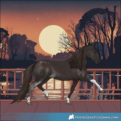 Horse Color:Liver Chestnut Tobiano 