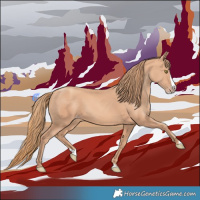 Horse Color:Gold Champagne Splash 