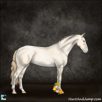 Horse Color:Buckskin Roan Pearl  and Buckskin Roan Pearl 