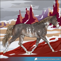 Horse Color:Liver Chestnut Sabino 