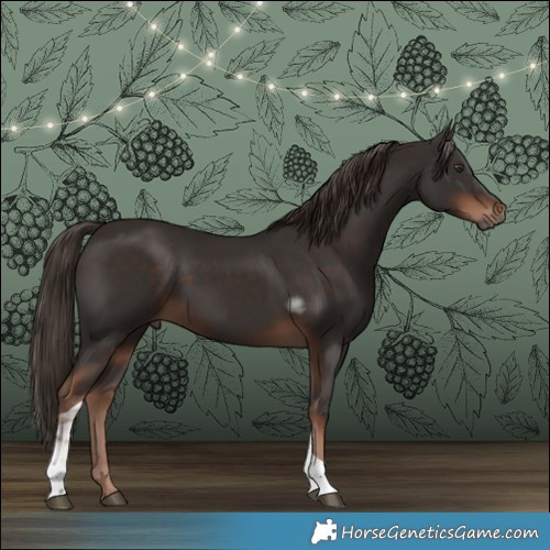 Horse Color:Liver Chestnut Tobiano 