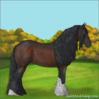 Horse Color:Brown Tobiano 