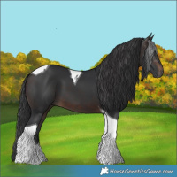Horse Color:Brown Tobiano 