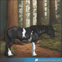 Horse Color:Liver Chestnut Tobiano 