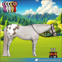 Horse Color:Liver Red Dun Appaloosa Brindle