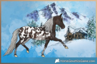 Horse Color:Silver Brown Tobiano Near Leopard 