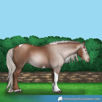 Horse Color:Gray Silver Black Pearl Tobiano 