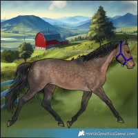 Horse Color:Brown Dun 