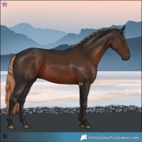 Horse Color:Liver Chestnut 