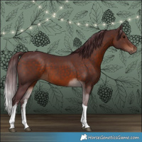 Horse Color:White Spotted Chocolate Brown Tobiano
